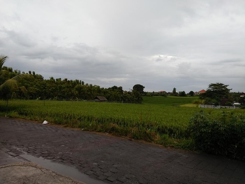 The Wina Guest House 2 Canggu Екстериор снимка